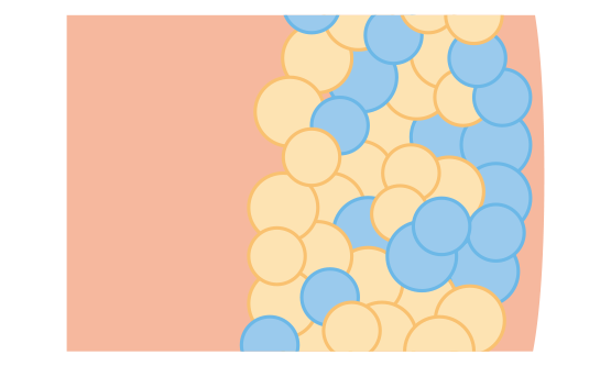 2:脂肪細胞のみにダメージの図