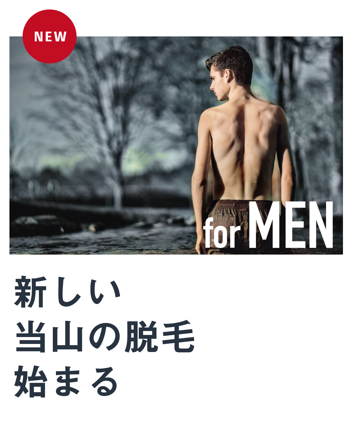 新しい当山の脱毛始まる