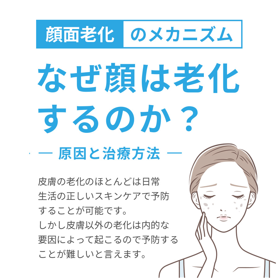 顔面老化のメカニズム　原因と治療法